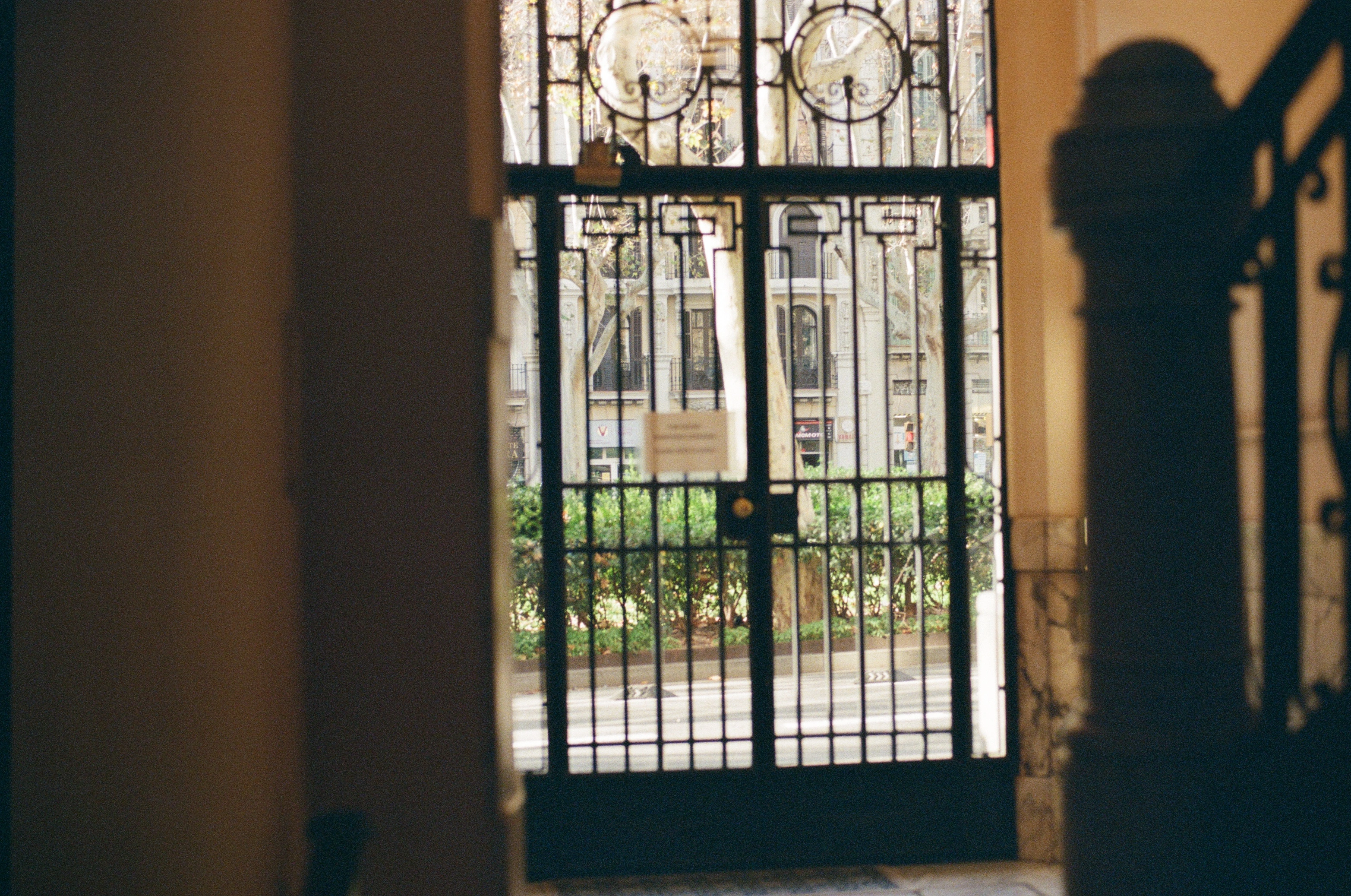 Ornate wrought iron gate viewed from inside